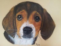 /album/tekeningen/grotefoto-rdqs4lrb-jpg/