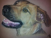 /album/tekeningen/img1484043941-jpg/