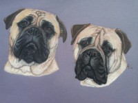 /album/tekeningen/a431415-394086377312904-1576938525-n-jpg/