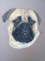 /album/tekeningen/a386363-405746719480203-794345384-n-jpg/